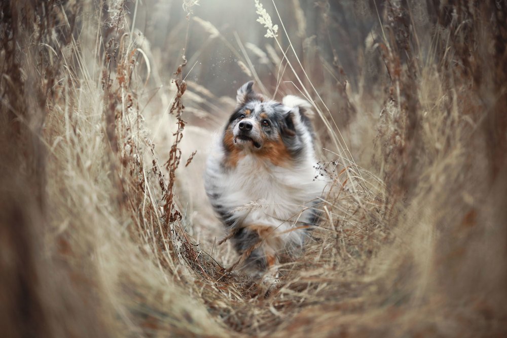 Photograph by Наталия Поникарова