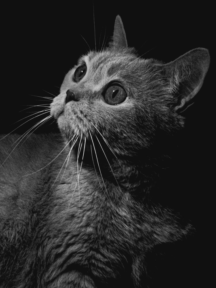 Photograph by Дмитрий Фёдоров