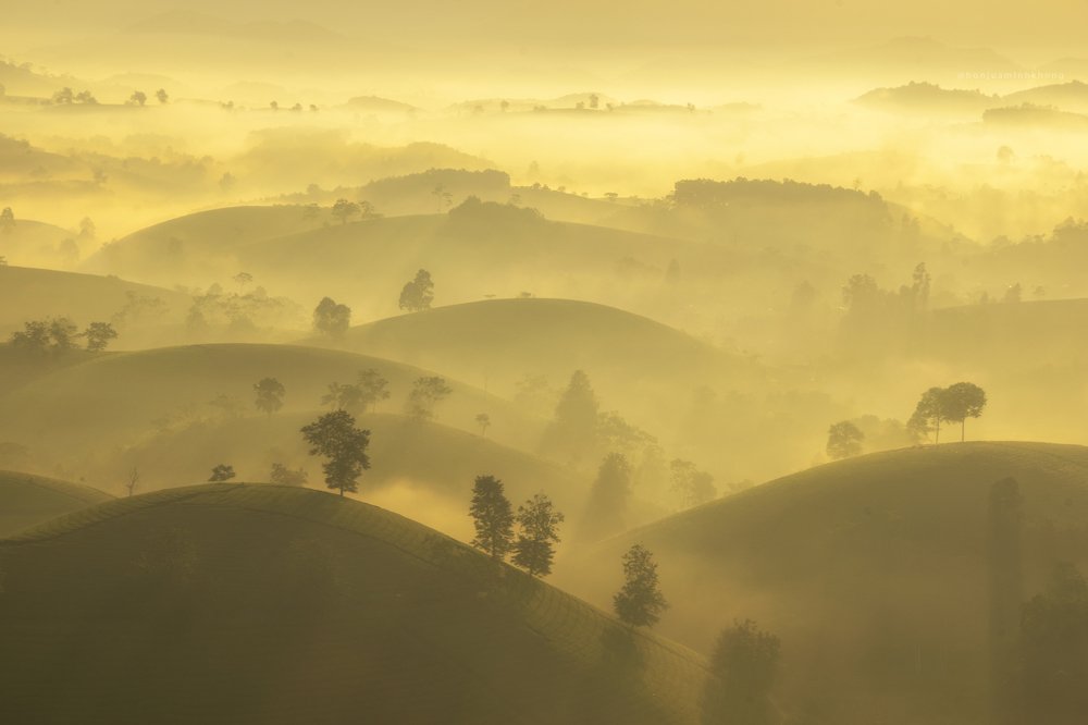Photograph by Khổng Kiều Minh