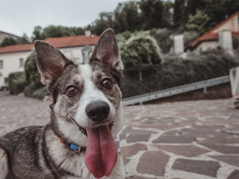 Photograph by Jaroslav Vyhnicka