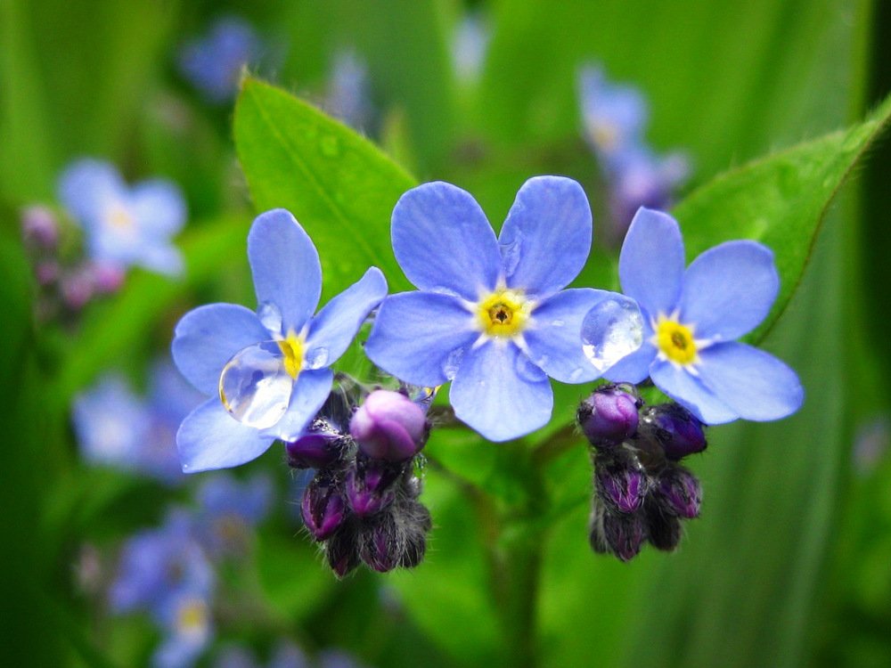 Photograph by Елена Смирнова