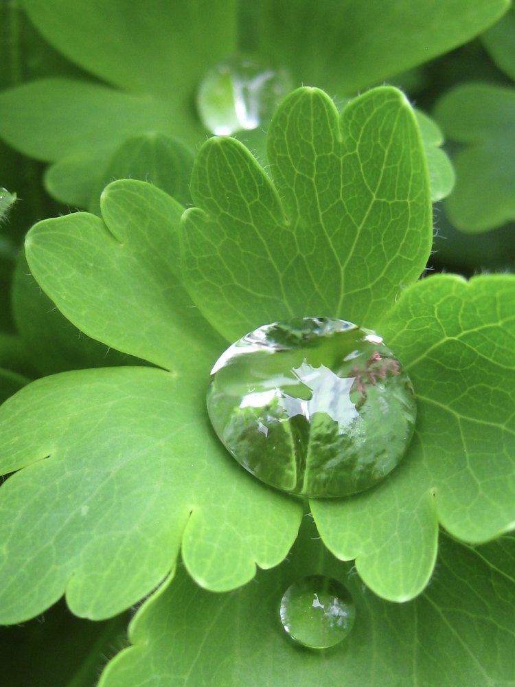 Photograph by Елена Смирнова