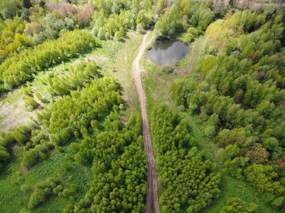 Photograph by Елена Смирнова