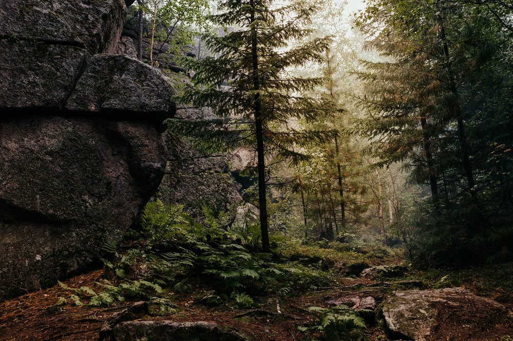 Photograph by Egor Boloznev