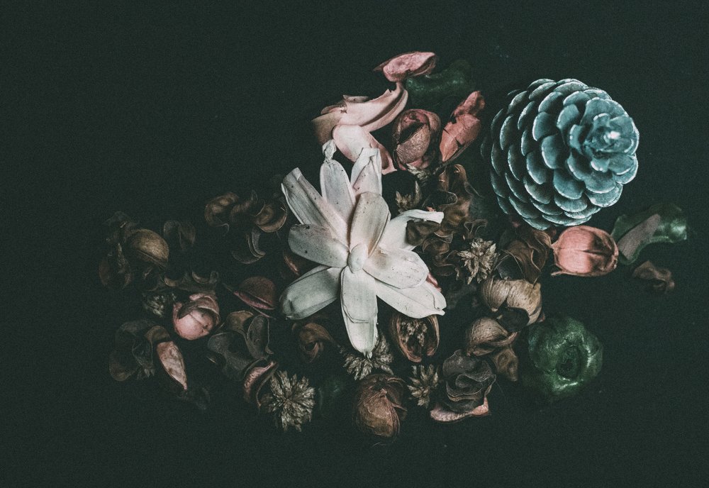 Photograph by Ирина Онышко