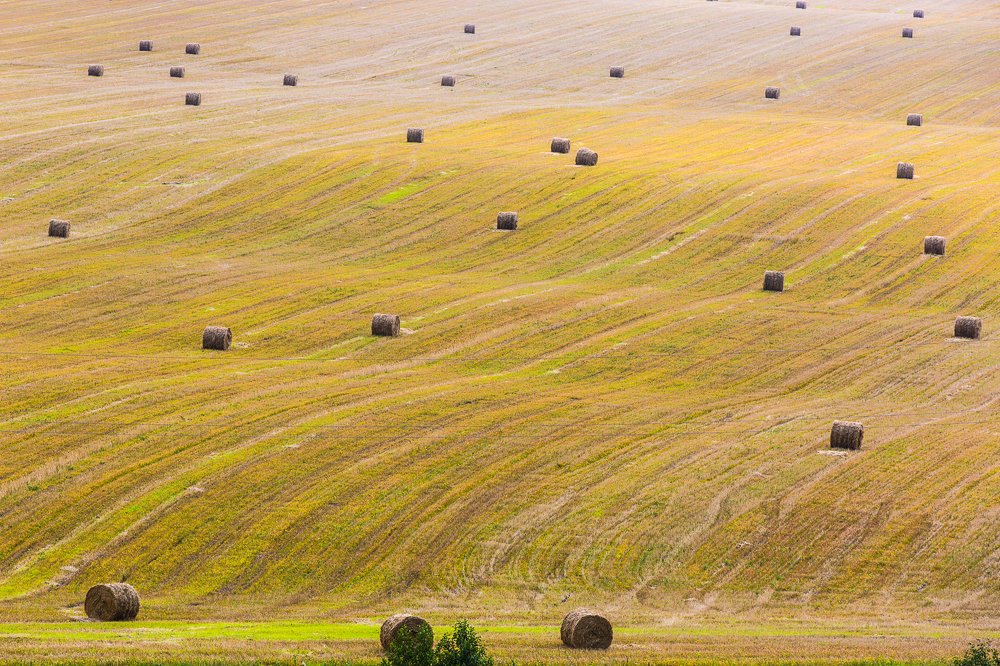 Photograph by Фирдаус Карипова