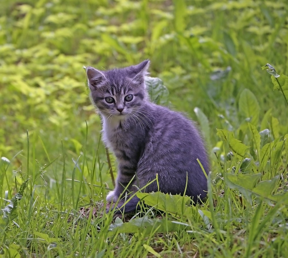 Photograph by Александр Пузиков