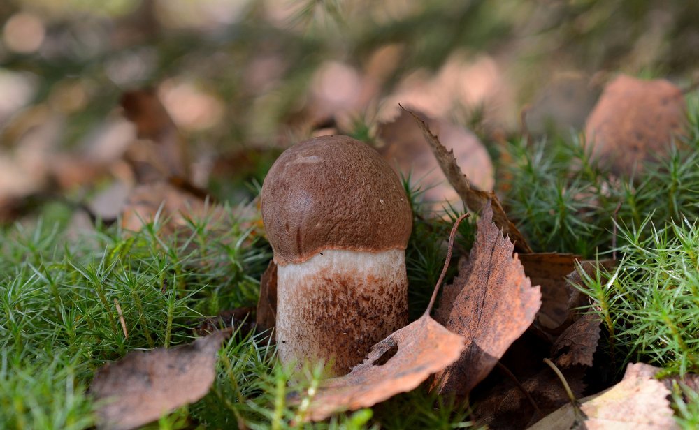 Photograph by Станислав