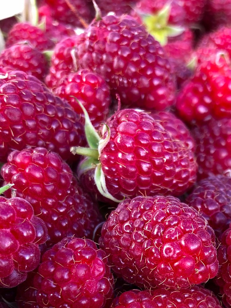 Photograph by Алена Жирова