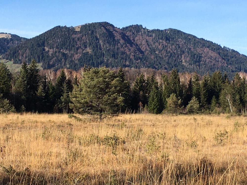 Photograph by Элина Антониаду