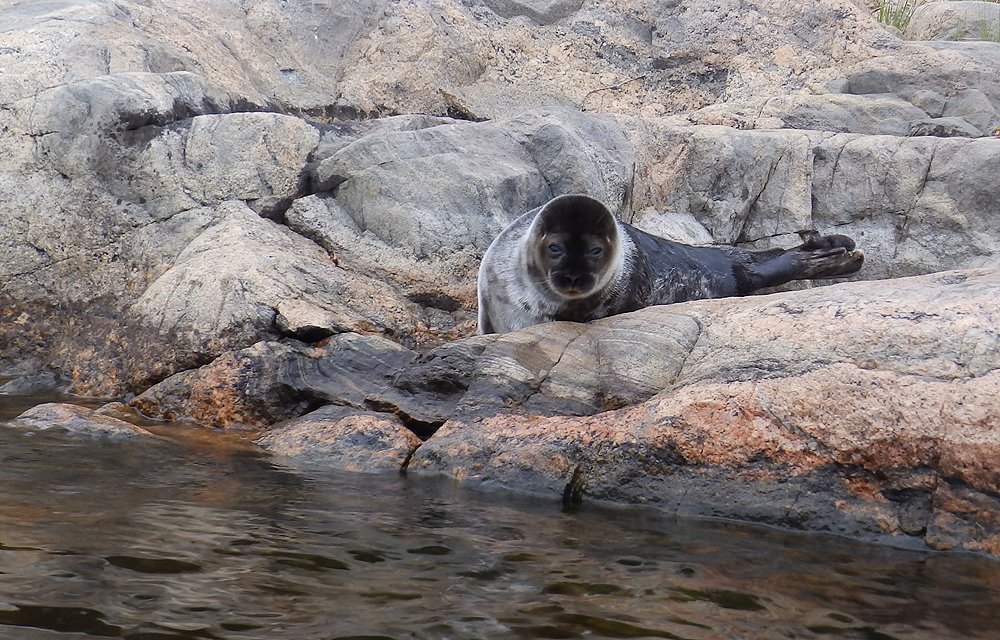Photograph by Ирина Арканова