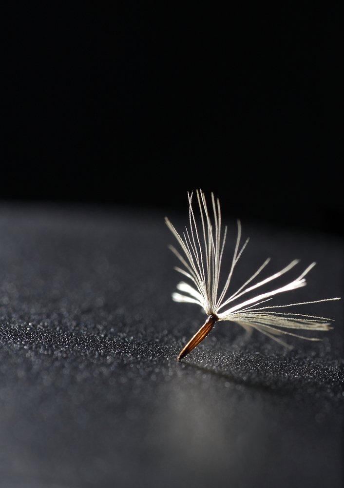 Photograph by Jurga Siauciuniene