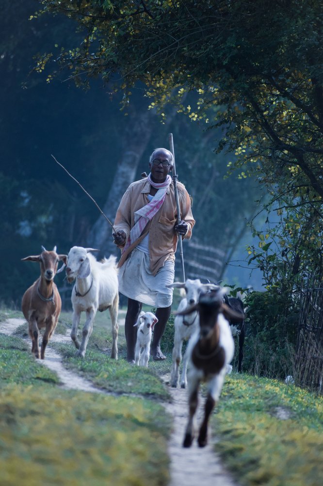 Photograph by Dhrubajyoti Bhattacharyya