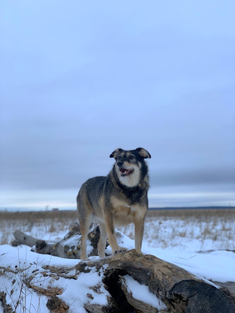 Photograph by Елена Смирнова