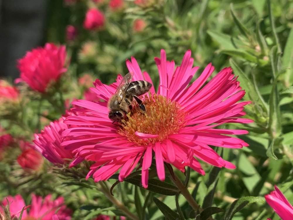 Photograph by Елена Смирнова