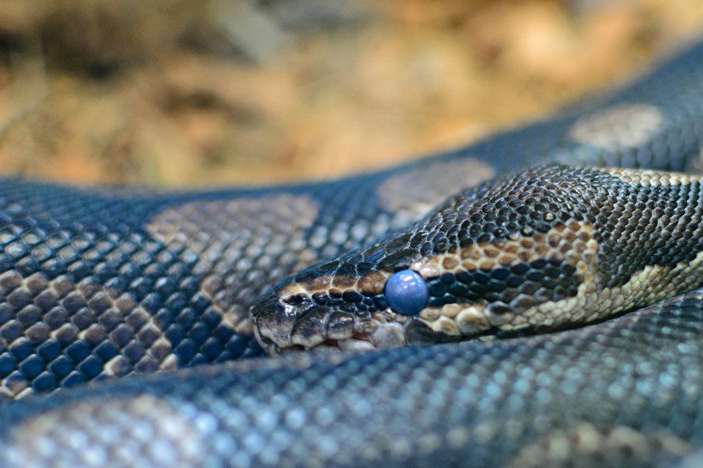 Photograph by Дмитрий Красовский