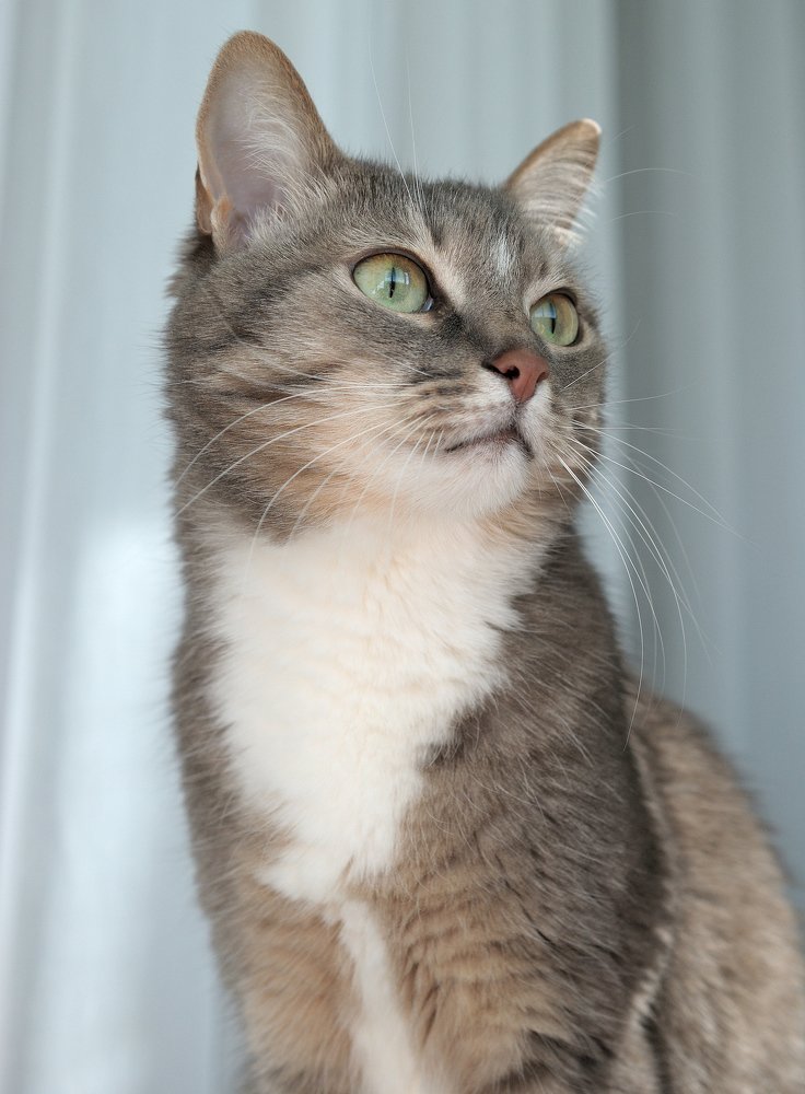 Photograph by Станислав