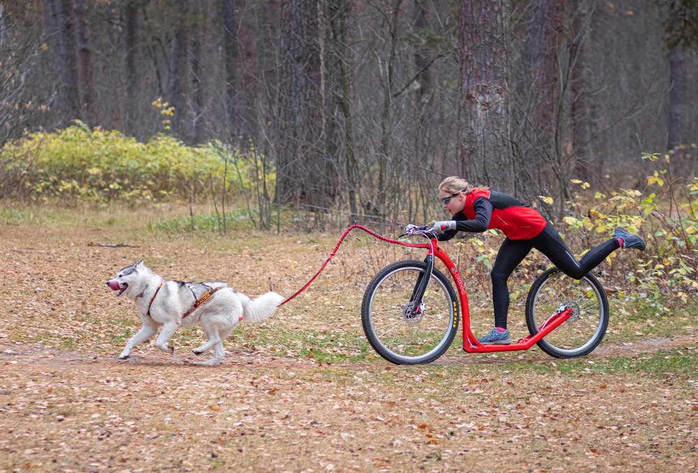 Photograph by Виктория Копытова