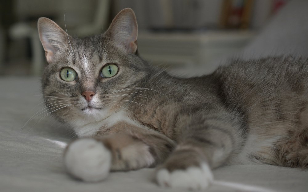 Photograph by Станислав