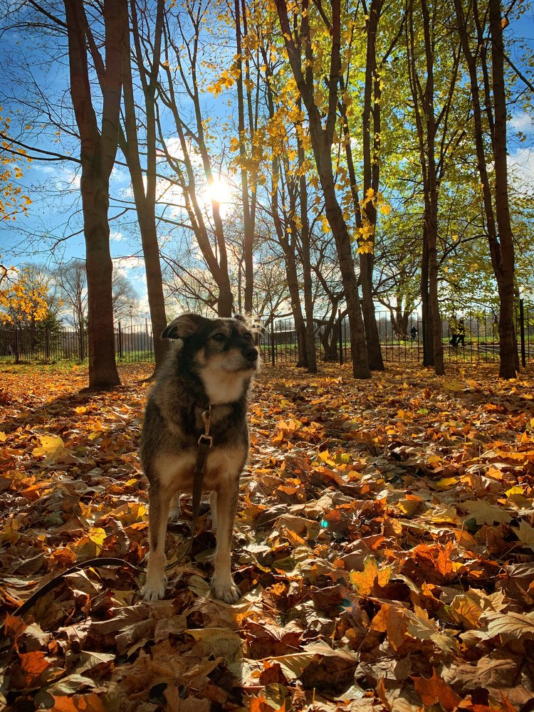 Photograph by Елена Смирнова