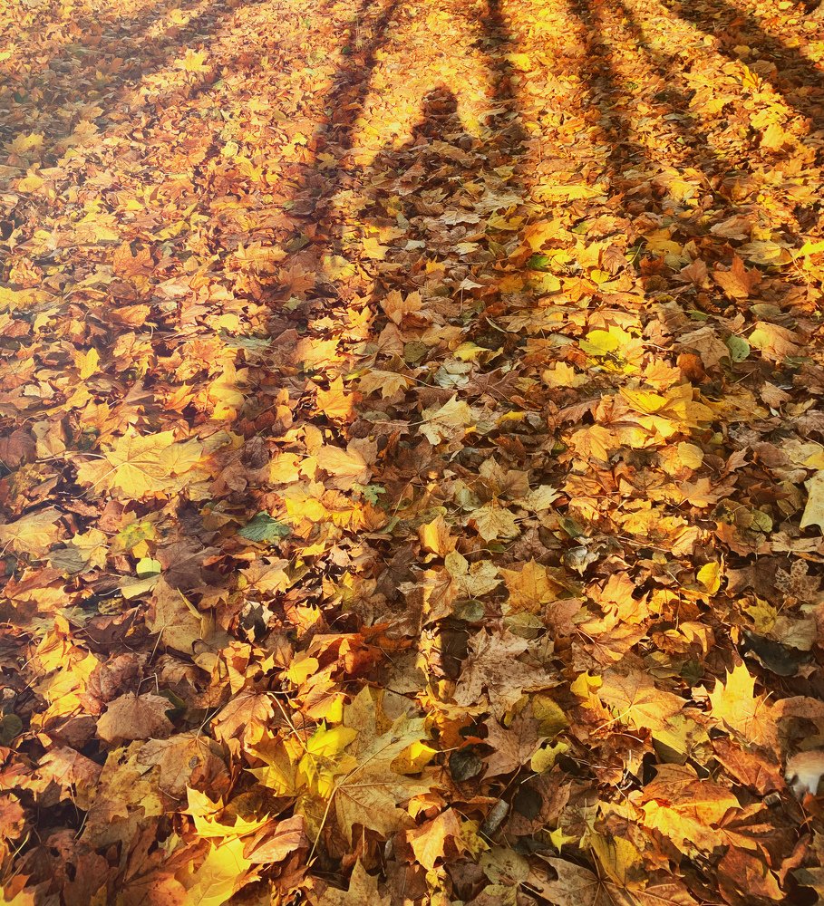 Photograph by Елена Смирнова