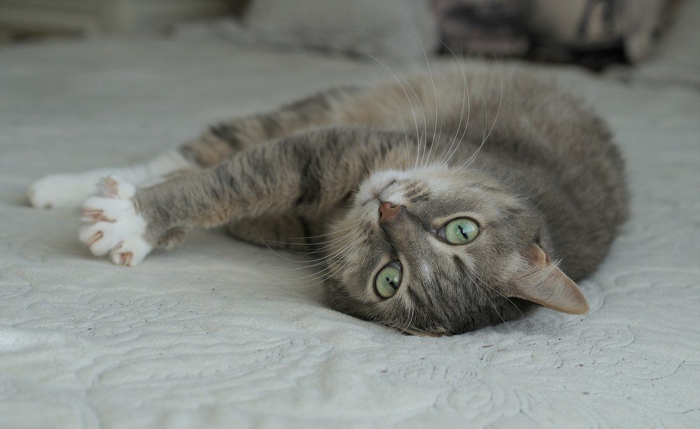 Photograph by Станислав