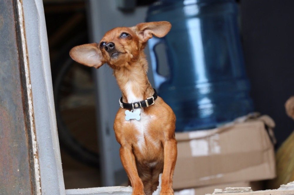 Photograph by Алена Сутяпова