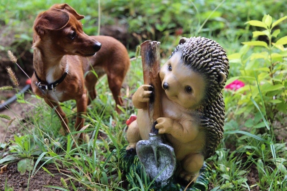 Photograph by Алена Сутяпова