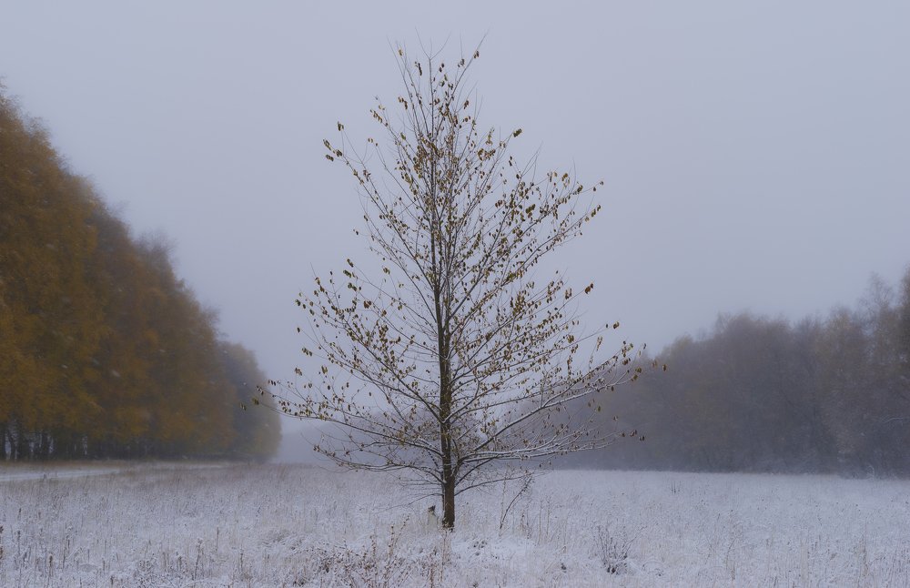 Где-то между осенью и зимой