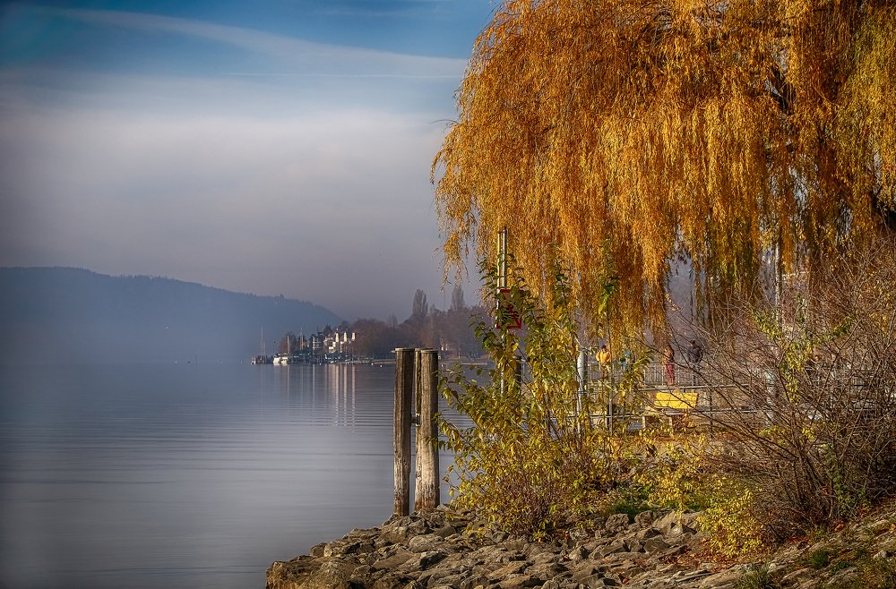 Photograph by Elena Gebert