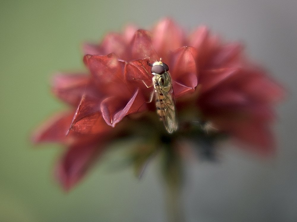 Photograph by Monika Biolik