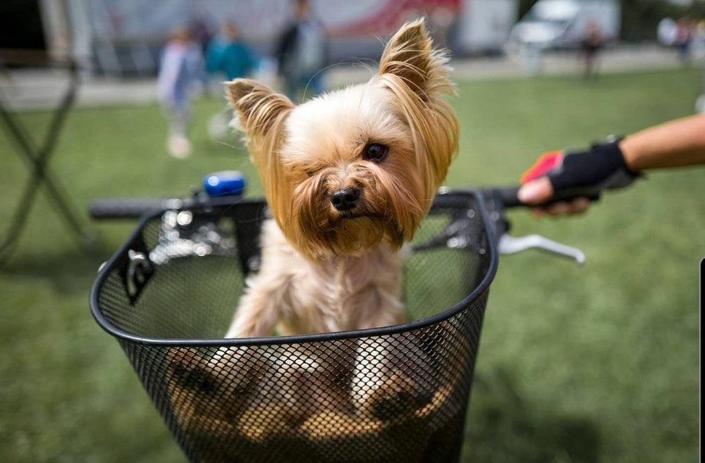 Фотография автора Денис Винарь