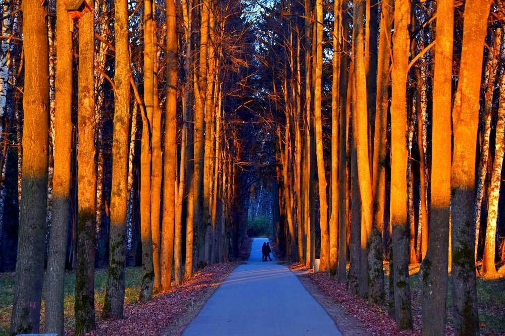 В лучах заходящего солнышка