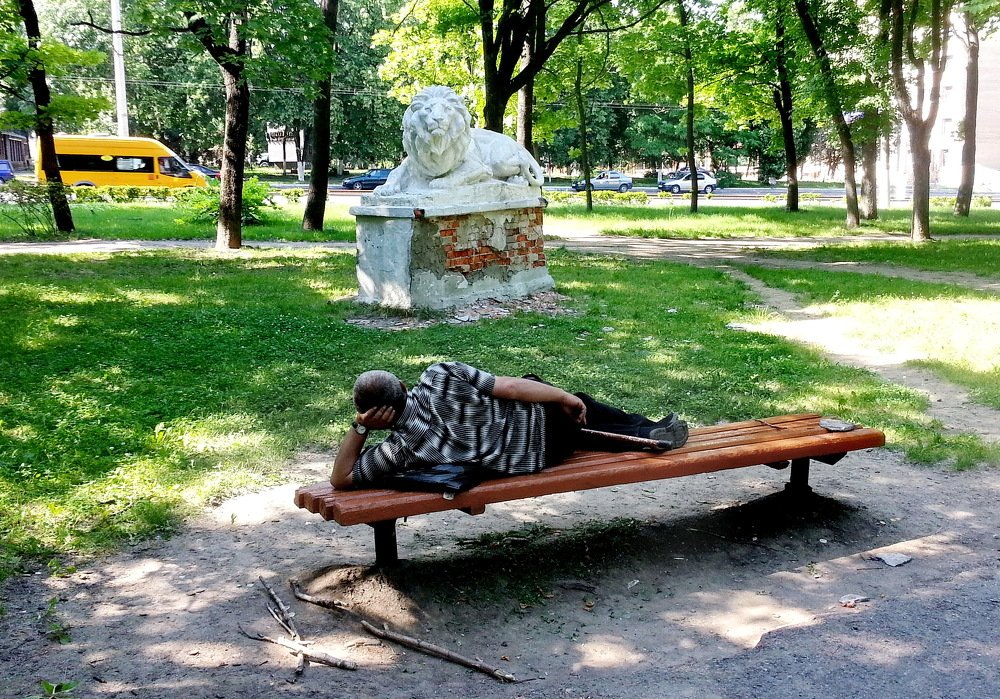 Photograph by Александр Шумаков