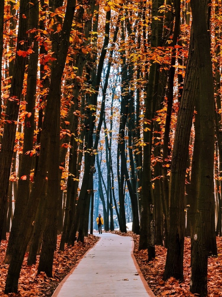 Photograph by Евгений Белан