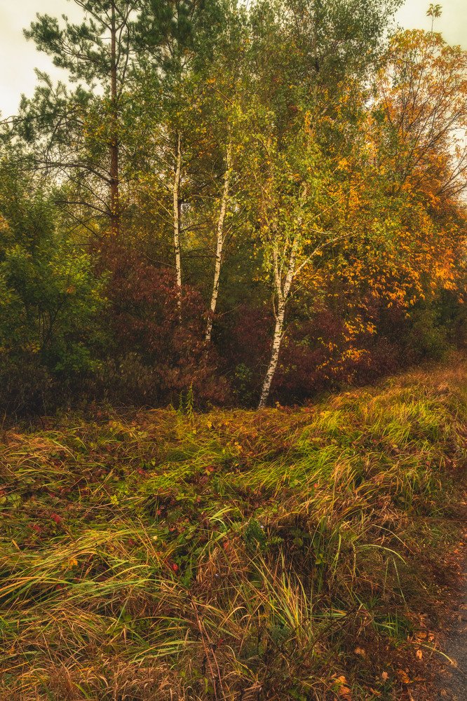 Photograph by Антон Харченко