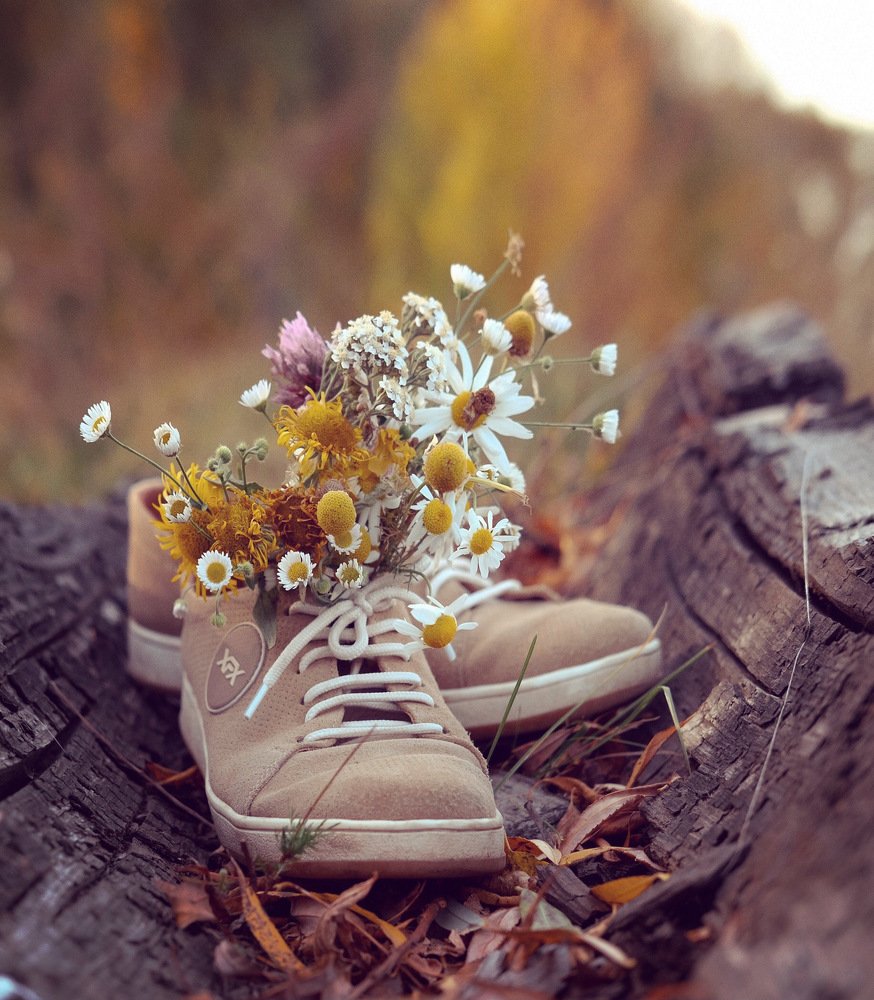 Провожая лето