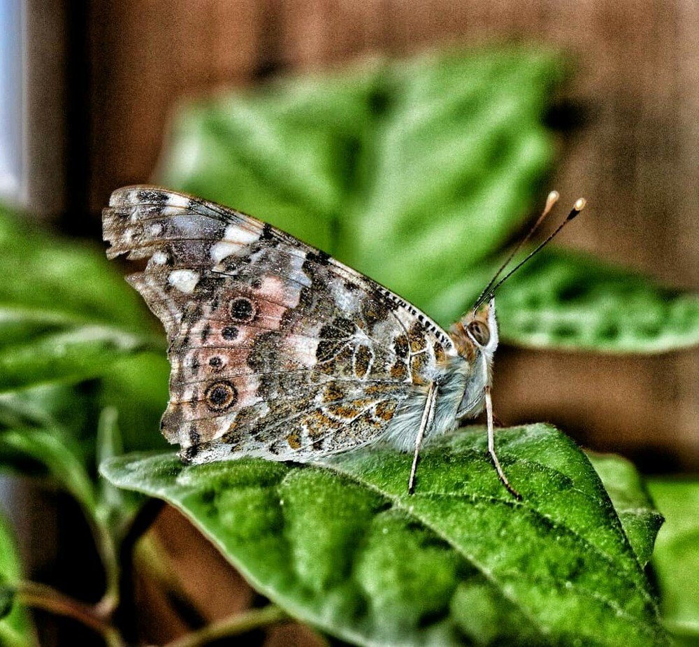 Photograph by Марина Гильмиярова