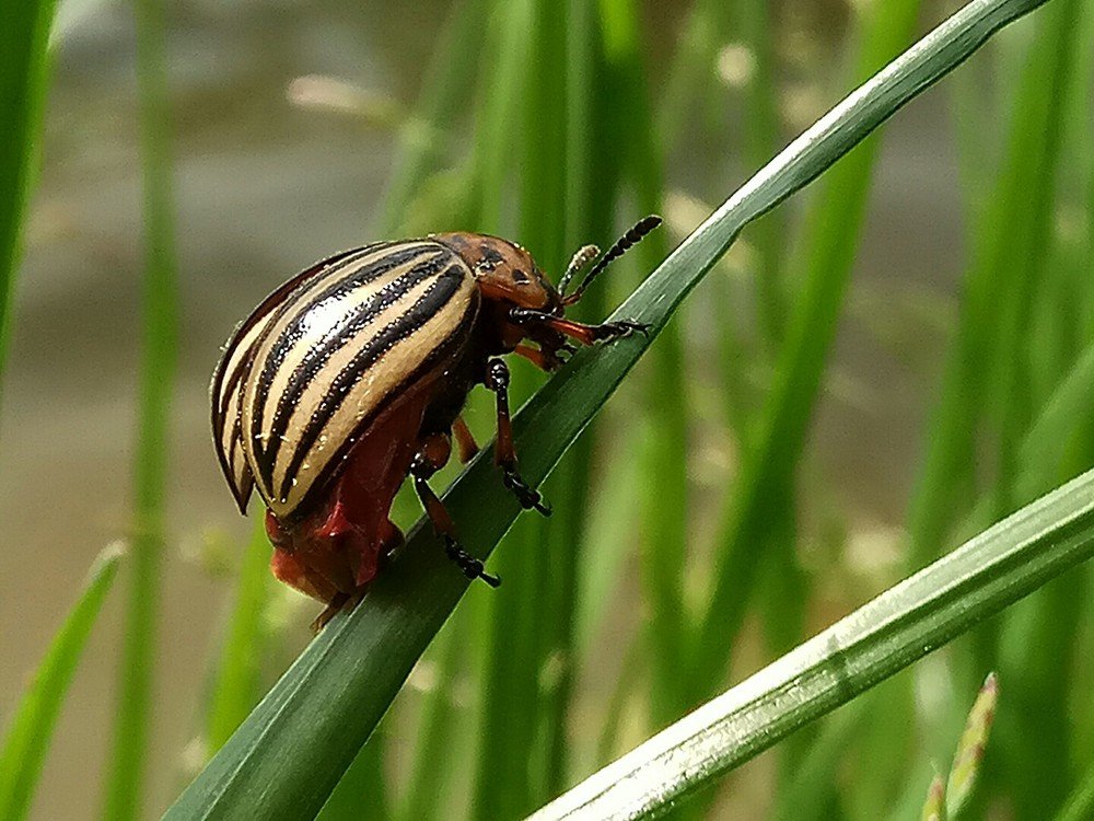 Photograph by Марина Гильмиярова