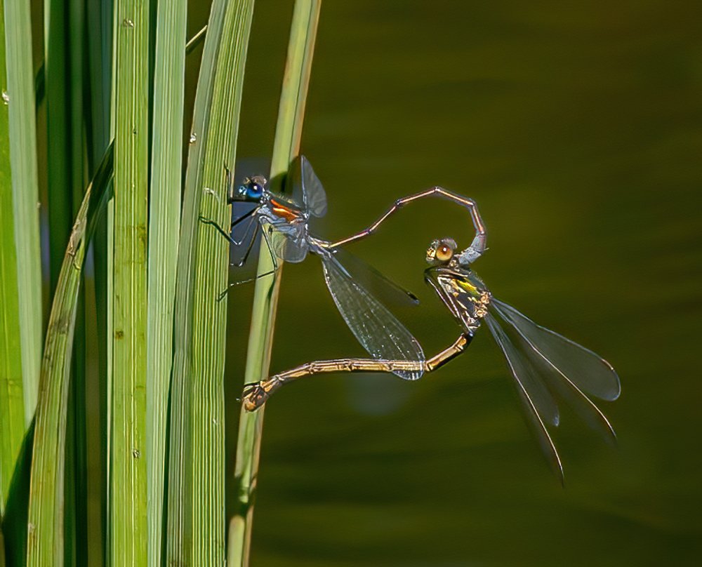 Photograph by Dag Hafstad