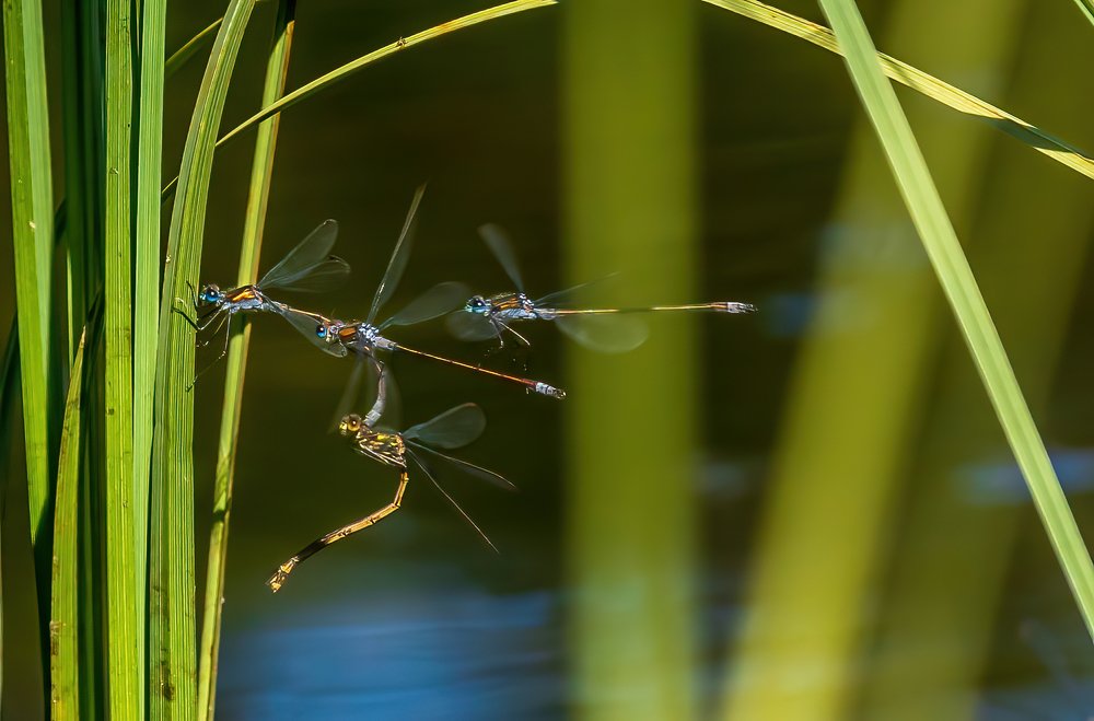 Photograph by Dag Hafstad