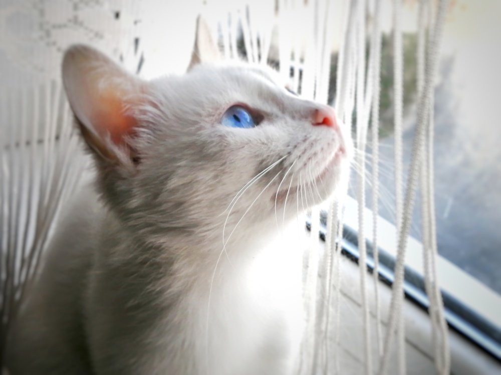 Photograph by Марина Гильмиярова