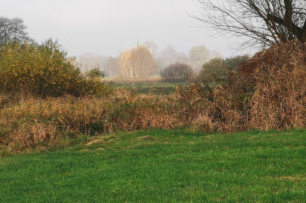 Photograph by Maciej