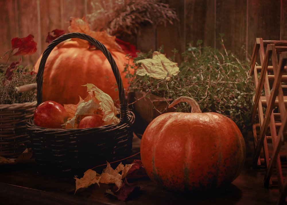 Осенний натюрморт с тыквами