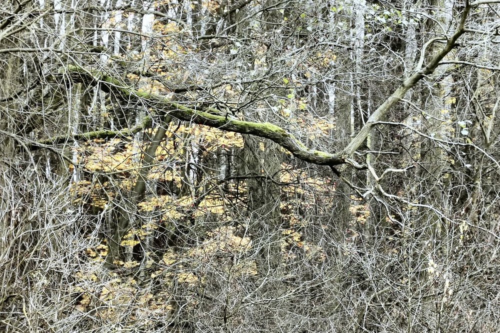 Photograph by Maciej