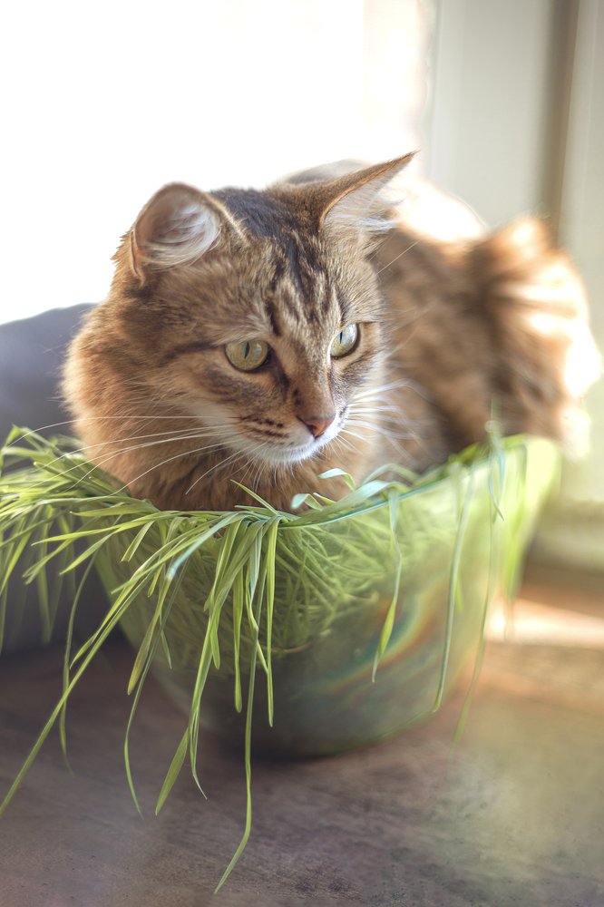 Потерянная связь с природой