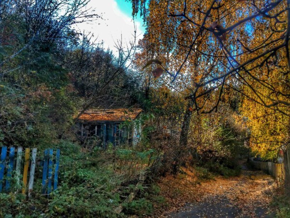 Photograph by Марина Гильмиярова