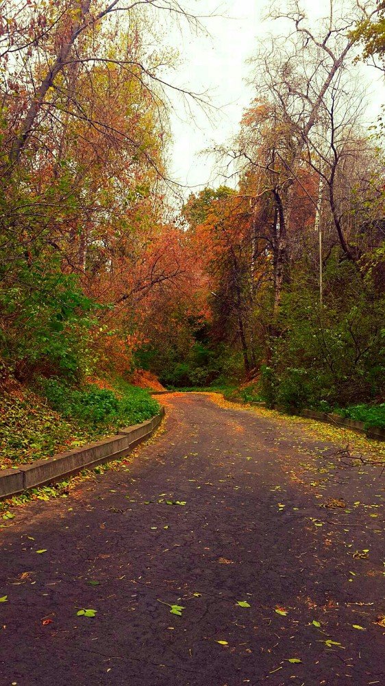 Photograph by Марина Гильмиярова