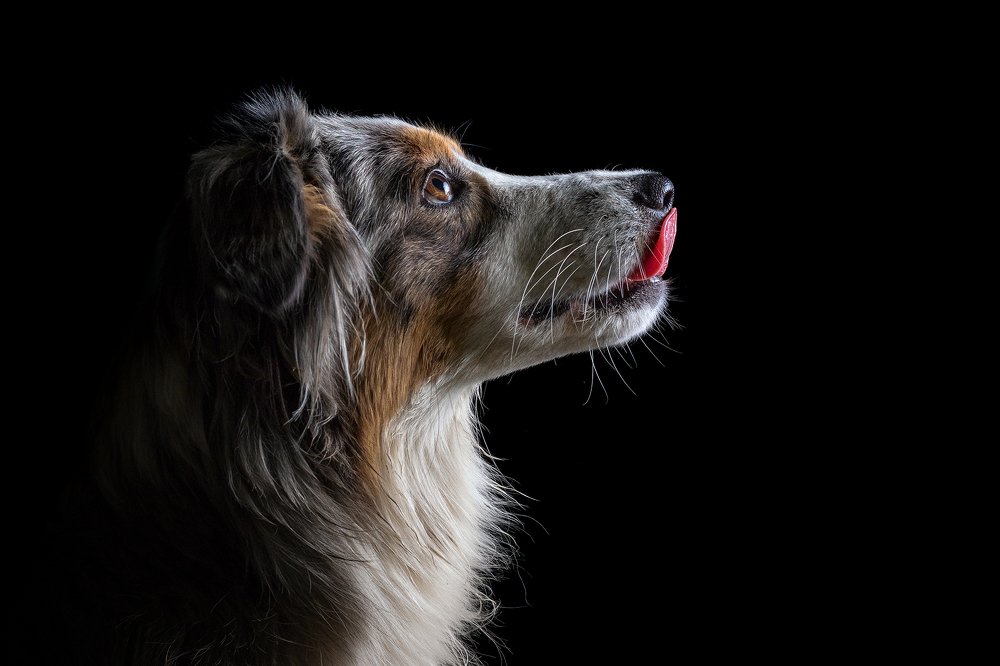 Photograph by Markus Bieck