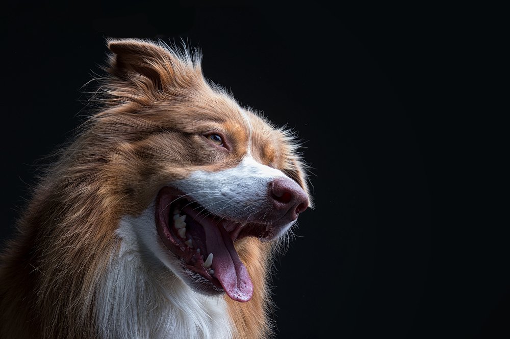 Photograph by Markus Bieck